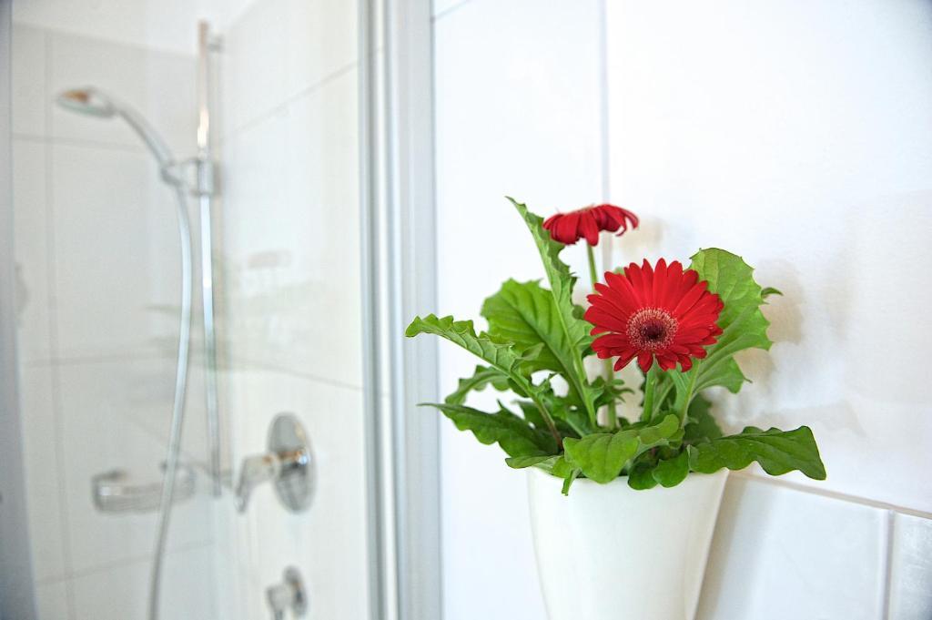 Greenhome Appartement Niedernsill Pokoj fotografie